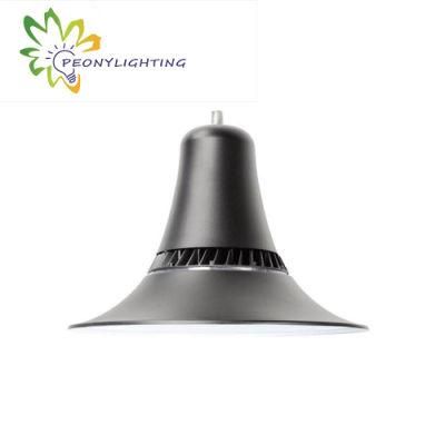 Hot Sale IP66 LED Outdoor Park Light 60W with 5 Years Warranty LED Garden Light