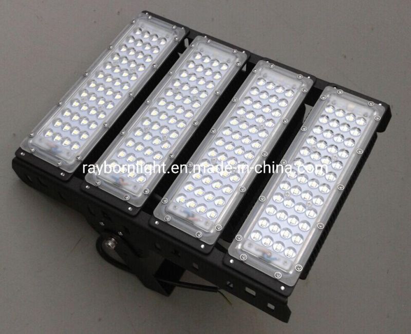 Green Red Blue Purple Amber Color 300W 200W LED Flood Light for Yard Park Square Lighting 100watt LED Landscape Spot Light