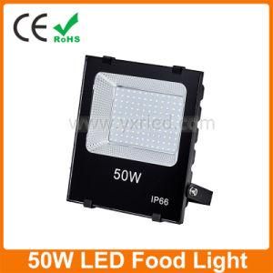 Best Price 50W LED Spotlight Outdoor Lighting