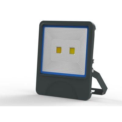 Hot Sale Private Module COB 10W/20W/30W/50W/100W/150W LED Flood Light