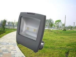 Modular Meanwell IP65 Emergency LED Flood Lighting