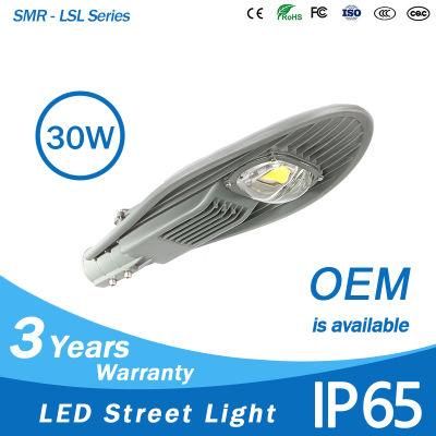 High Quality Wholesale COB 30W LED Street Light with Low Price for Outdoor