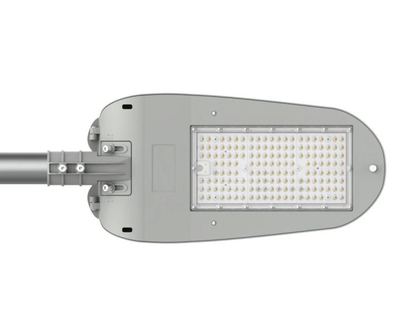 NEMA Socket Support Dimming Optional Outdoor Street Lighting 60W LED Road Lamp