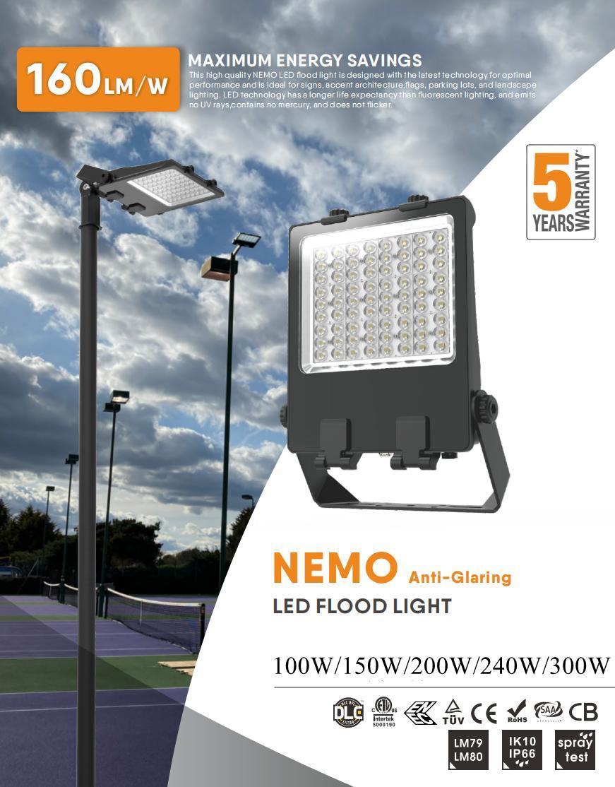 New Design IP66 Ik08 Indoor Outdoor Light 100W LED Flood Light