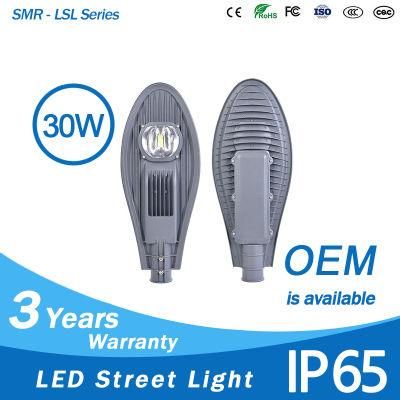 Road Garden Lighting 30W 50W 60W 90W 120W COB LED Street Light