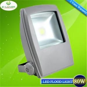 High Quality 80W IP65 COB Epistars Chips LED Flood Light