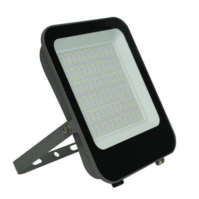 CE RoHS Certification Outdoor LED Lighting Waterproof Floodlight 100W SMD with 2-Year Warranty