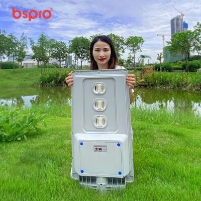 Bspro IP65 ABS Hot Sell Long Life Big Battery Wholesale Price LED Solar Street Light