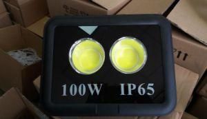 100W High Power LED Spot Light Flood Lighting