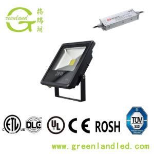 Ce RoHS Bridgelux 45 Mil Chip High Quality 3 Year Warranty 110 Volt LED Flood Light