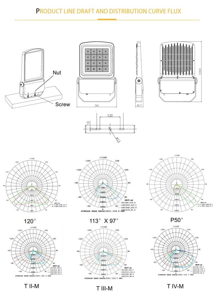 400W IP66 Park Square Factory Garden Construction LED Flood Light