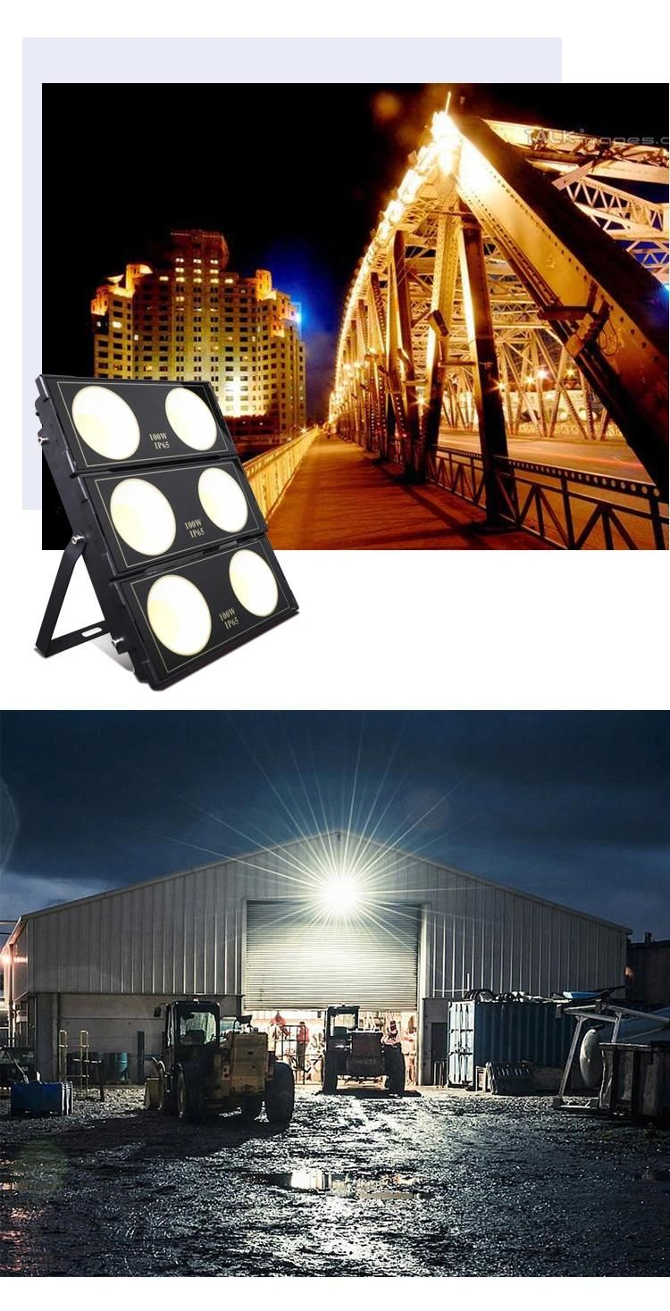 High Quality 300W 60W Lumens Halide Flood Lamp with PCB Blue LED Flood Light