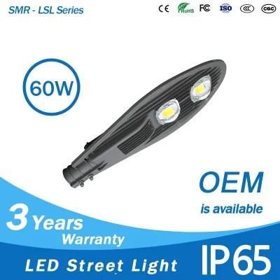 High Lumen 150lm 60W Outdoor COB Street Lighting LED IP65
