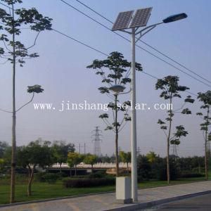 100W High Power Solar LED Street Light CE &amp; RoHS (JS-A2015101100)