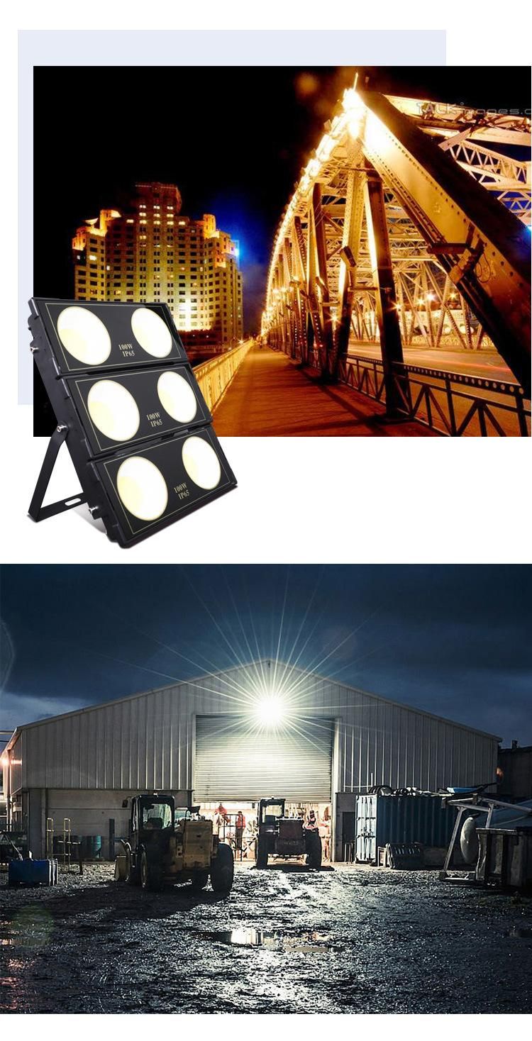 Reflectores 100W 10W Aluminum Parts Ultra Adjustable LED Flood Light