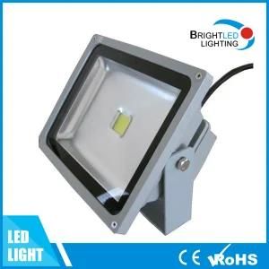 Professional 30W/50W Outdoor LED Flood Lighting