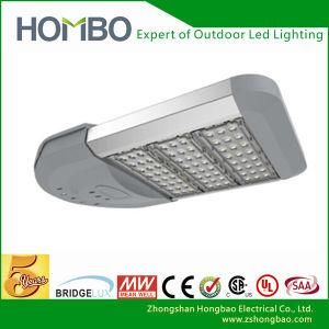 China Facotry New Arrival USA/Asutria /France 120W /150W LED Park Light/Park Lighting