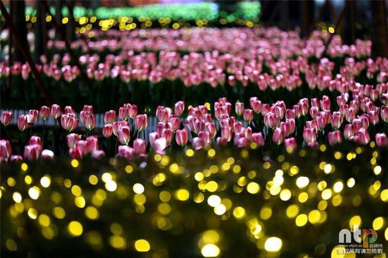 LED Artificial Rose Lily Flower Lights for Garden Grass Decoration