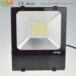 100W IP65 CE Certified Waterproof SMD High Power LED Floodlight