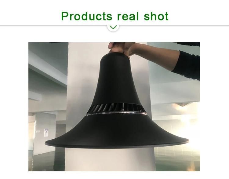 80W High Quality Aluminum Housing with 5 Years Warranty IP66 LED Garden Light