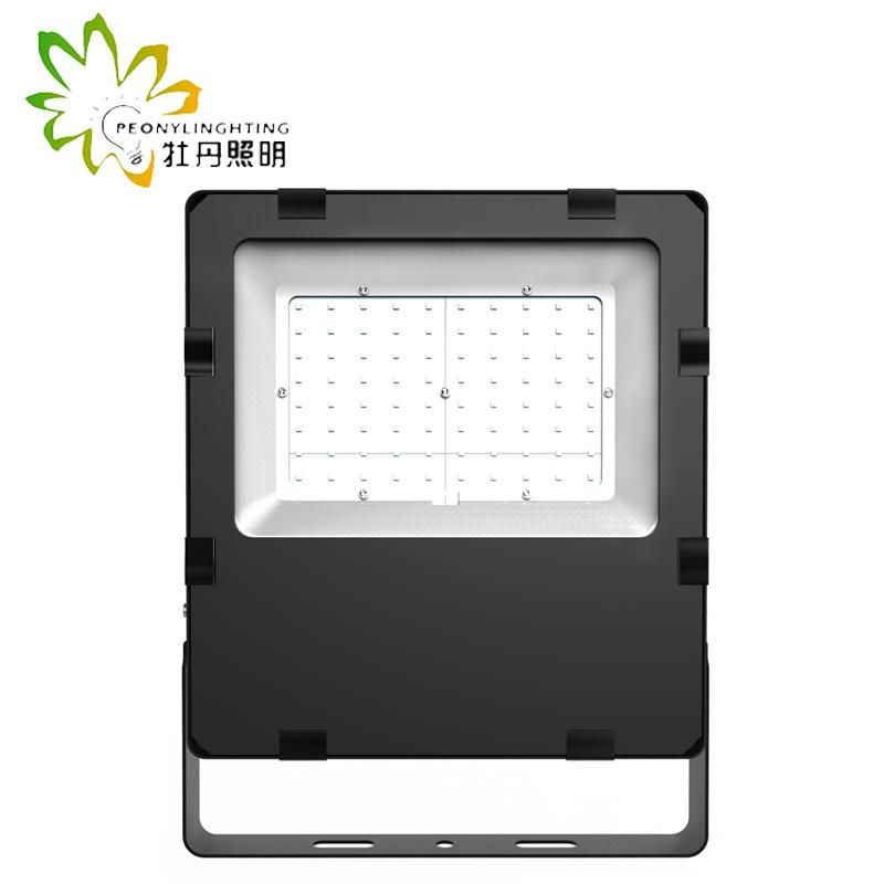 2019 Newest 120lm/W LED Floodlight with 120 Degree Beam Angle 100W Floodlight