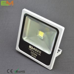 30W IP65 Waterproof CE Certified LED Floodlight