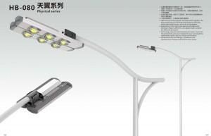 Solar 180W LED Street Lights for Long Lifespan/LED Solar Lighting (HB-080)