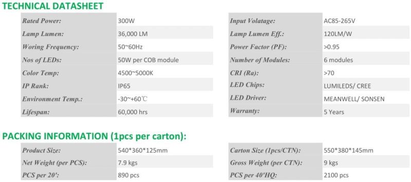 5 Years Warranty IP65 Waterproof 300W COB LED Flood Light