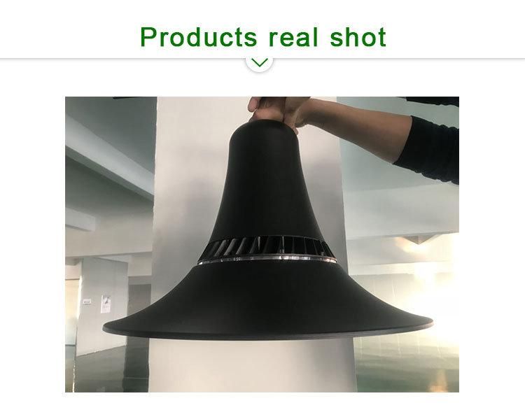 LED Ornamental Light ENEC Ce CB TUV Listed IP66 Ik10 LED Garden Light Original Manufacture 200lm/W or 130lm/W for Option