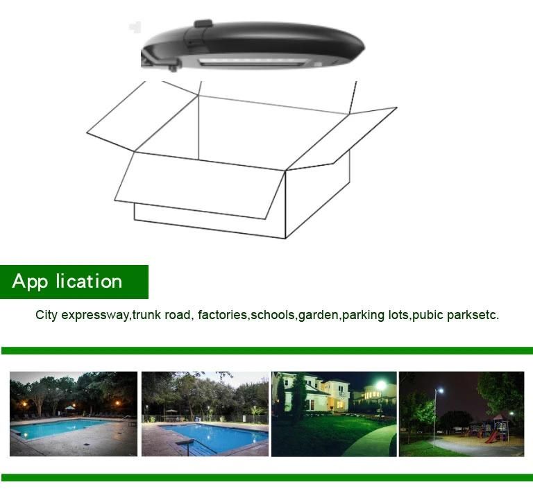 Customized Logo and Packaging LED Light Factory Outdoor Waterproof 60W Street Fitting LED Garden Light