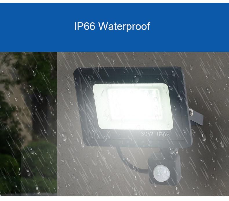 Energy Saving Waterproof Outdoor 20W 30W 50W 100W LED Flood Light with Black Housing Projector Reflector Lampara Motion Sensor Aluminium