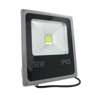 30W Outdoor Flood Light LED Lighting IP66 with CE, RoHS