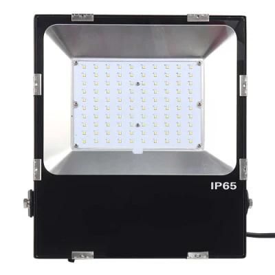 Top Sellers CE RoHS SAA Waterproof Outdoor LED Floodlight 10W/20W/30W/50W/80W/100W/150W/200W