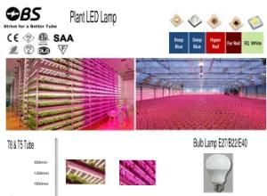 LED Plant Growing Lamp