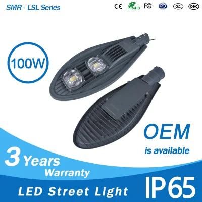 COB Head Most Popular LED Street Lamp 100W LED Road Light