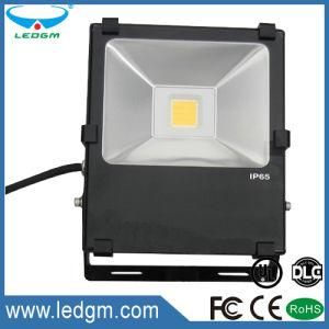 New Design Outdoor IP67 Bridgelux LED Black 30W 50W LED Foco Floodlight