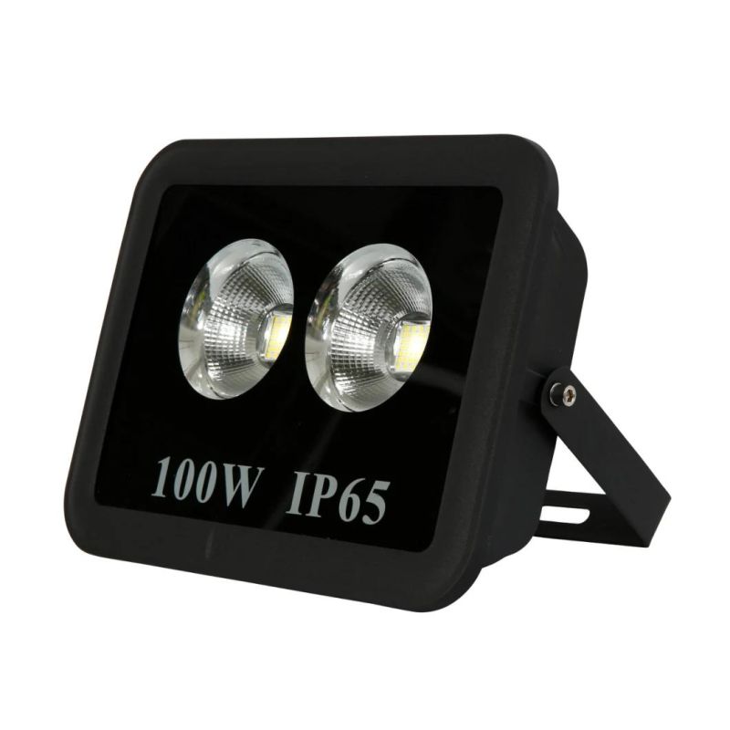 100W LED Flood/Gardesecurity Light for Outdoor Lighting 5 Years Warranty