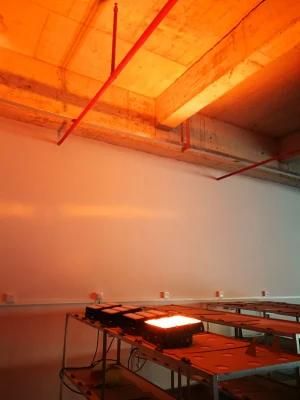 Amber Color LED Flood Light 100W 150W 200W 250W Modules Flood Lights