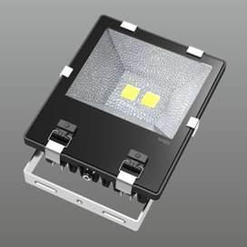 Driverless 100W LED Flood Light Portable Outdoor Lighting Input 180-265V