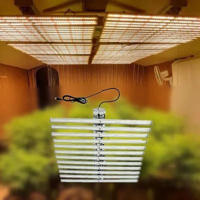 Next Generation LED Grow Light Increase Yield &amp; Potency