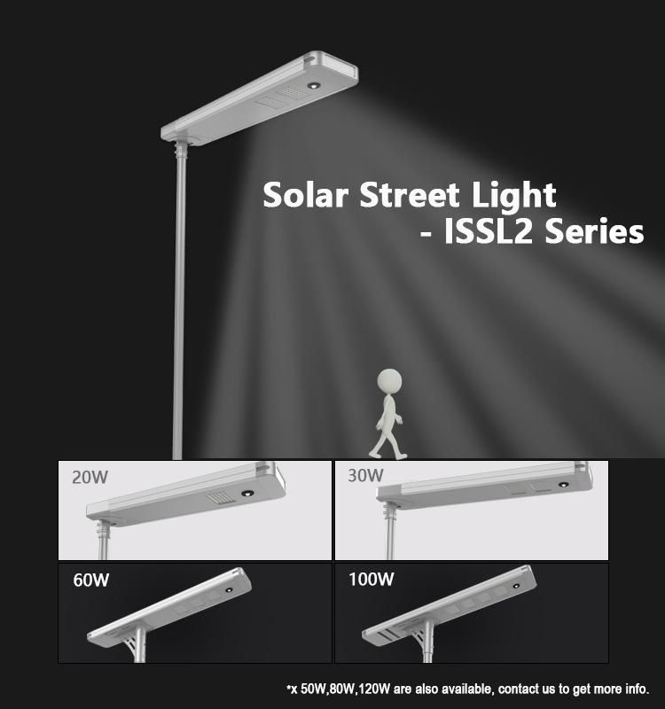 100W Soalr Street Park LED Lamp Products Market Light Luminary
