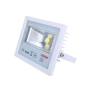 IP65 COB Outside LED Flood Light Aluminum LED Spotlight