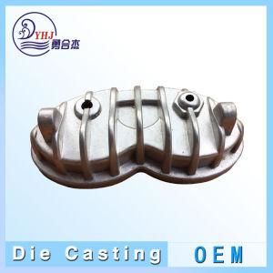 Professional OEM Aluminum Alloy LED Lighting Parts by Die Casting in China