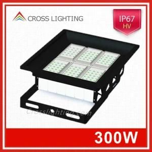 Hv No Driver 300W Floodlight with High Power