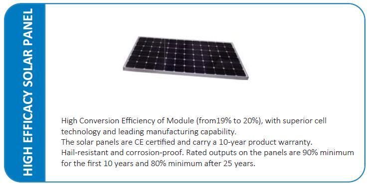 365 Working Days 30W Solar LED Street Light