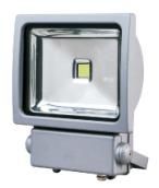 LED Flood Light 100W