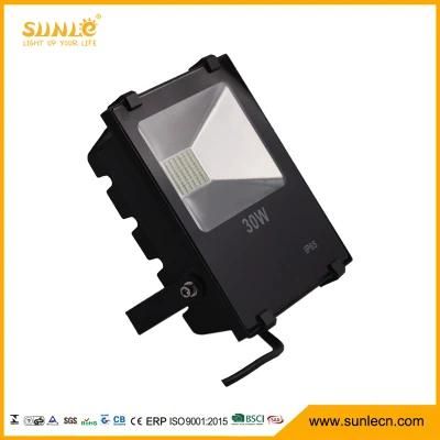 Outdoor Waterproof 30W LED Exterior Flood Lights (SLFI SMD 30W)