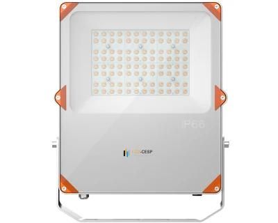 China Factory The Best Price High Power LED SMD 20W 30W 50W 70W 100W CE RoHS EMC LVD Outdoor LED Floodlight with Black Housing Floodlights