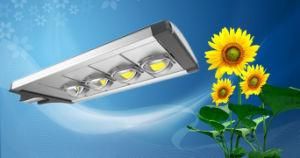 Aluminium LED Street Light Modules with Bridgelux CREE Epistar Chips