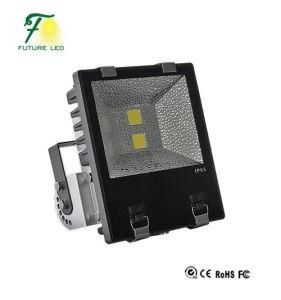 120 Watts LED Flood Light Tunnel Lamps and Cast Light
